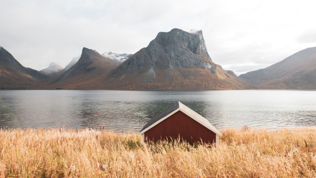 A small red cabin stands near a calm lake surrounded by tall grass and mountains in the distance. Image for a B2 ESL lesson from betterclass titled Living Off the Grid, focused on sustainability, remote living, and life in New Zealand’s Fiordland National Park.