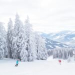 skiing or snowboarding esl lesson