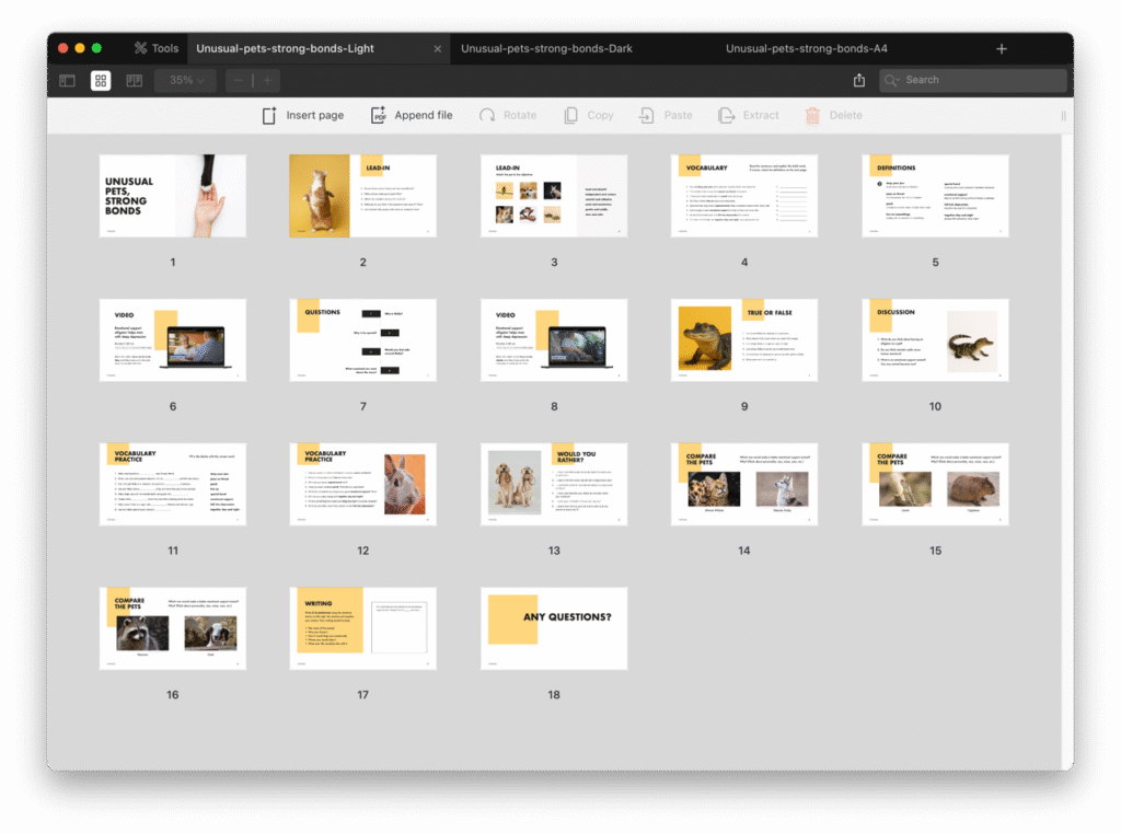 Unusual Pets, Strong Bonds Unusual pets strong bonds Image1