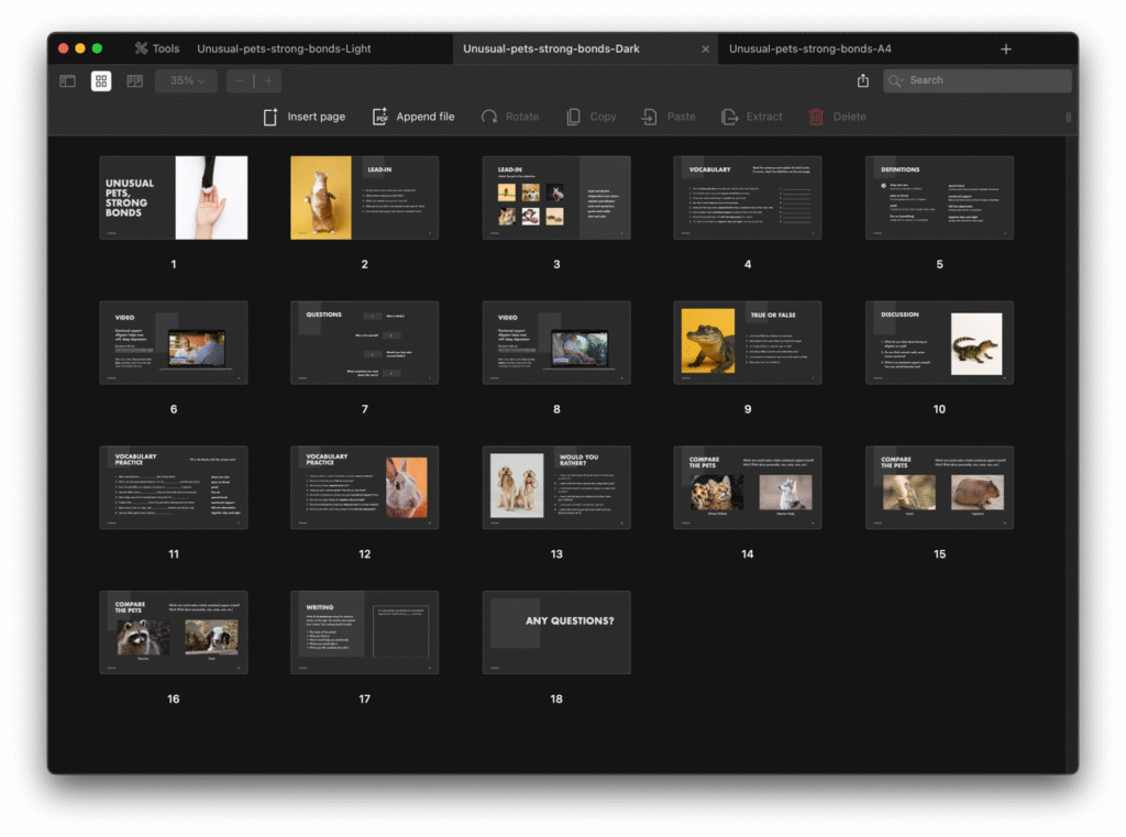 Unusual Pets, Strong Bonds Unusual pets strong bonds Image2