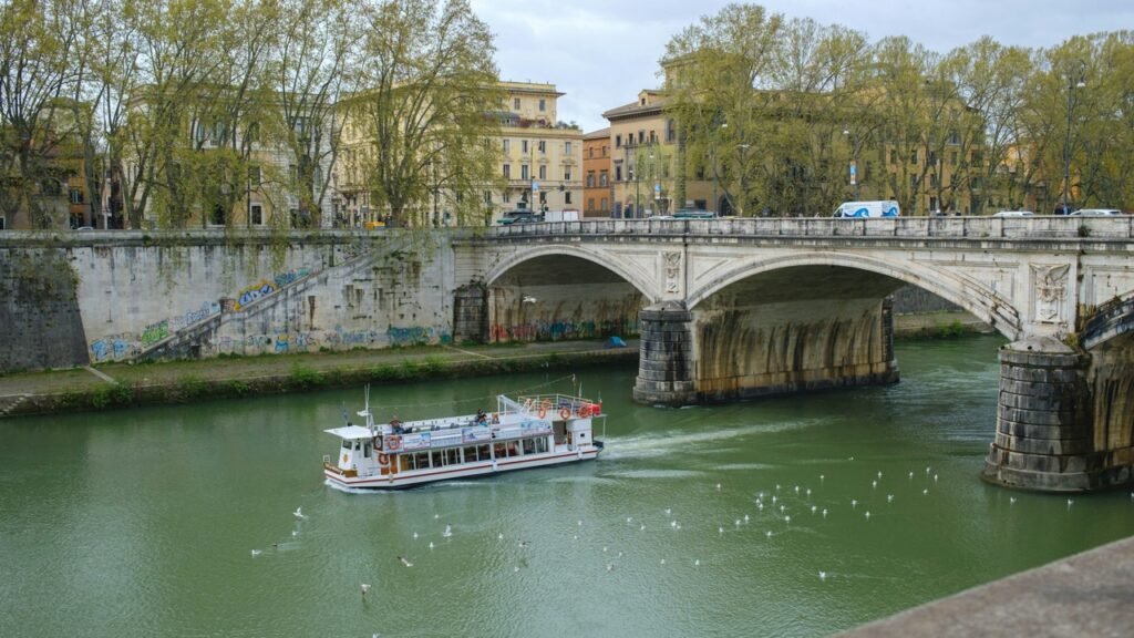 Paris Opens Seine for Swimmers Cover