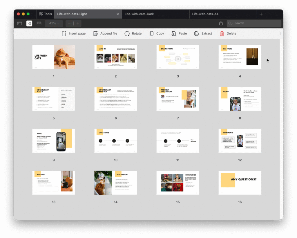 Life with cats Image1