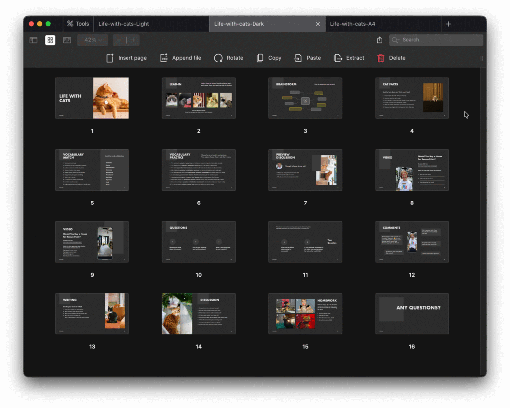 Life with cats Image2