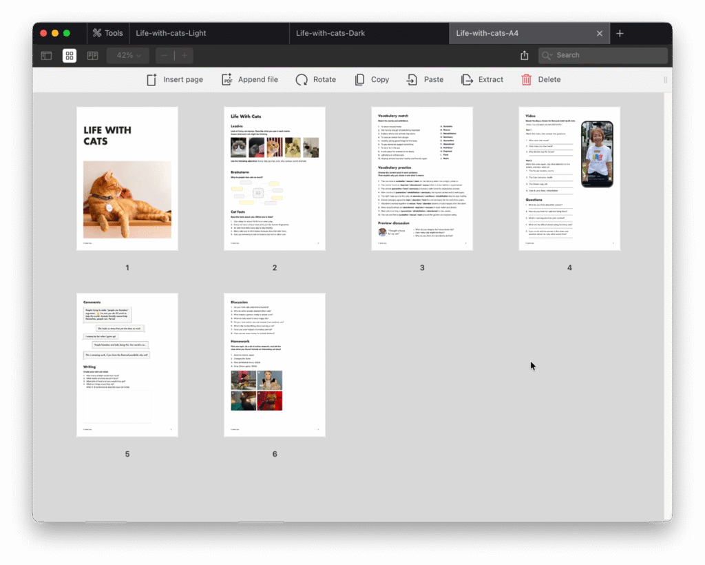 Life with cats Image3