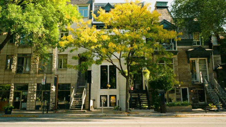 Urban neighborhood with classic buildings and staircases, a setting for discussing culture shock and different living environments.