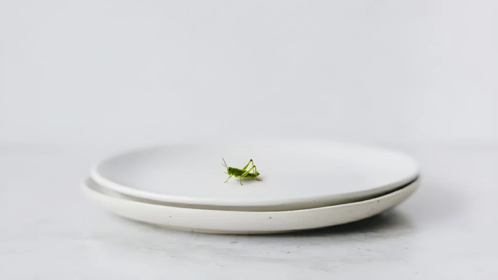 Grasshopper on minimalist plate for advanced English lesson about eating insects and food psychology