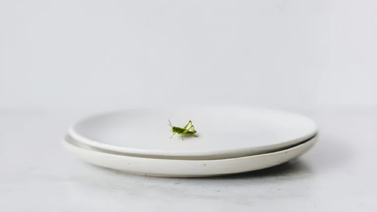 Grasshopper on minimalist plate for advanced English lesson about eating insects and food psychology