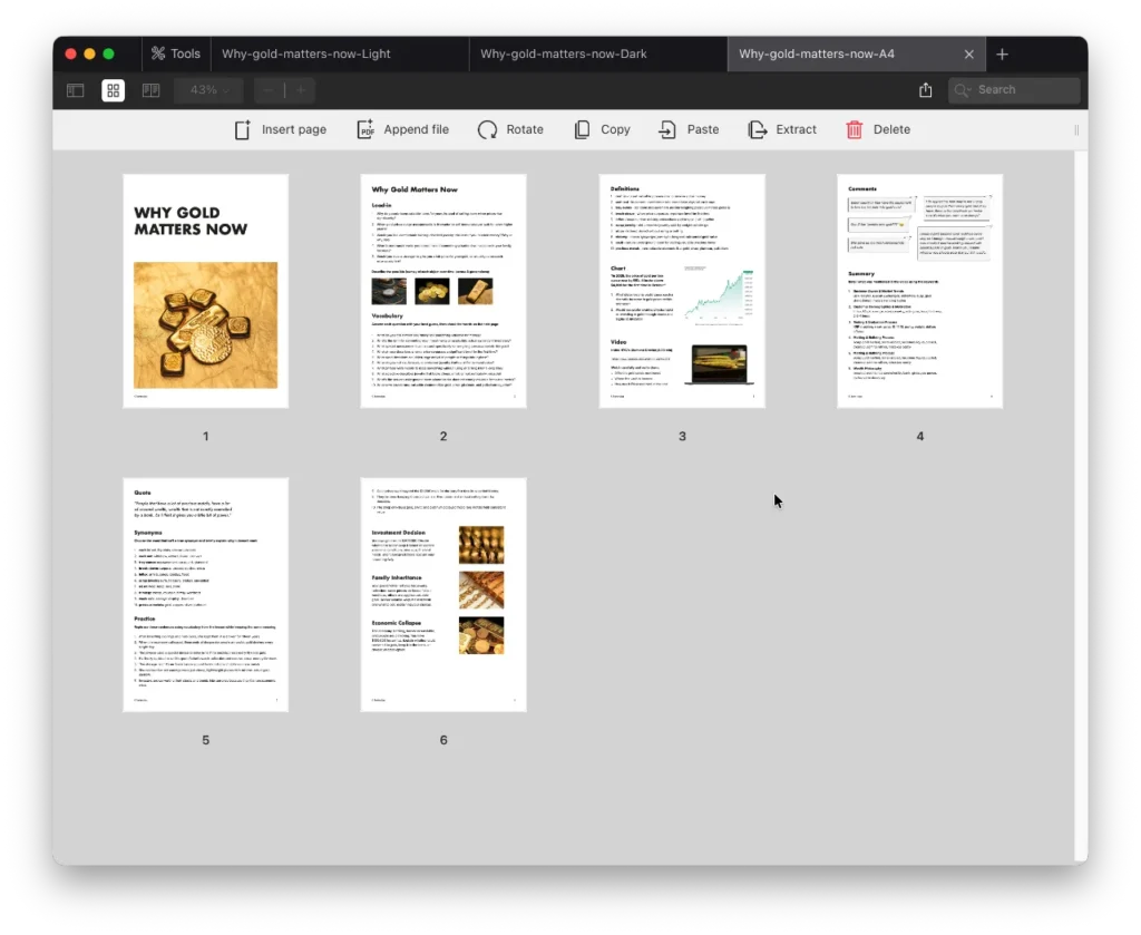 Why Gold Matters Now Preview 3