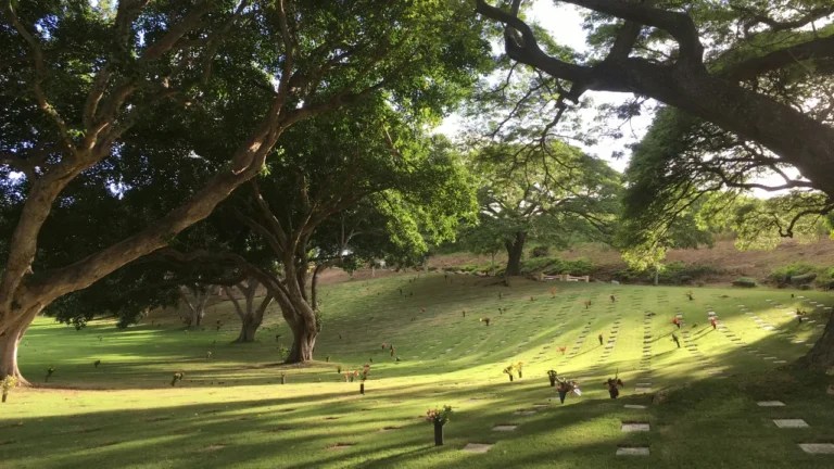 A peaceful cemetery with rows of flat grave markers on a sunlit hillside, shaded by large spreading trees.
